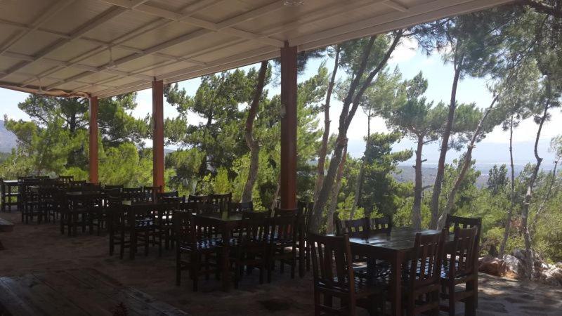 Ida Bay Bungalows Αδραμύττιο Εξωτερικό φωτογραφία
